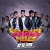 Si Te Vas - Single