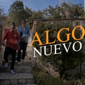 Algo Nuevo (feat. Jovi el Neycom) artwork