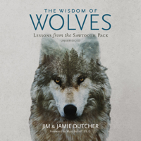Jim Dutcher & Jamie Dutcher - The Wisdom of Wolves: Lessons from the Sawtooth Pack artwork