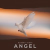 Angel - Single