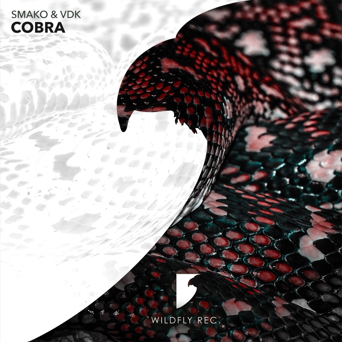 Песня cobra