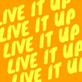 Live It Up (Instrumental) artwork