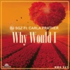 Why Would I (feat. Carla Prather) - Single
