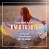 Hard To Love (Alex van Sanders Remix) song lyrics