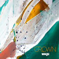 Waaju - Grown artwork