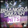 Bhangra Smash Hits, 2011