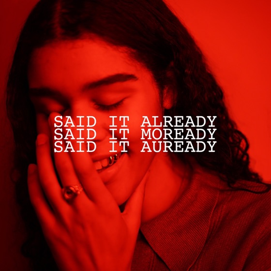 Cover artwork for Said It Already