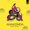 Stream & download Anakonda - Single