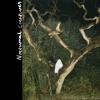 Nocturnal Creatures - Single