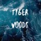 Tyger Woods - Lil Twister lyrics