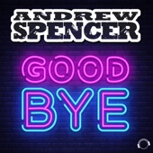Goodbye (Extended Mix) artwork
