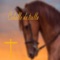 CABALLO DE TROYA (feat. RECYCLED J) - Sule B lyrics