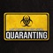 Quaranting (feat. Busy Signal) artwork