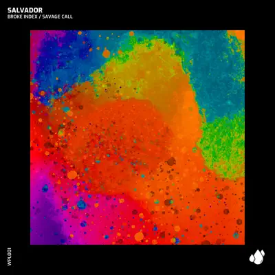 Broke Index / Savage Call - Single - Salvador