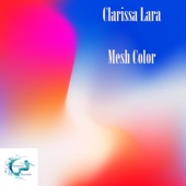Mesh Color artwork