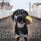 Bartender's Blues (feat. Chad Darou) - Serene Green lyrics
