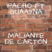 Maliante de Cartón (feat. Guaayna) artwork