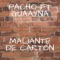 Maliante de Cartón (feat. Guaayna) artwork