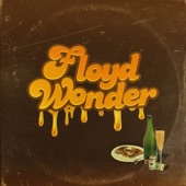 FLOYD WONDER - Here We Go Again