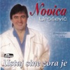 Ustaj sine zora je... (with Novica Urosevic)