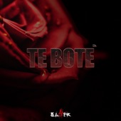 Te Boté artwork