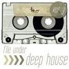 File Under: Deep House, Vol. 3, 2014