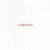 Carolina artwork