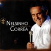 Nelsinho Corrêa ao Vivo, 2009