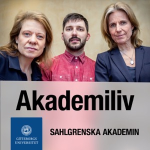 Akademiliv