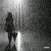 Raindrops in the Night - Single album lyrics, reviews, download