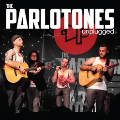 Unplugged at Emperor's Palace 2008 - The Parlotones