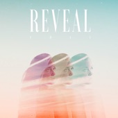 Reveal (Edit) artwork