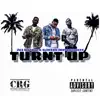 Stream & download Turnt Up (feat. Slim 400 & Indianblue) - Single