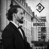 Hongos artwork