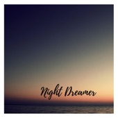 Night Dreamer (2am Mix) artwork