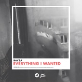 Everything I Wanted artwork