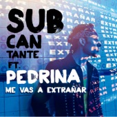 Me Vas a Extrañar (feat. Pedrina) artwork