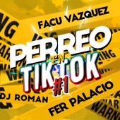 Perreo en Tik Tok 1 - Raka Taka Taka (feat. DJ Roman & Facu Vazquez) artwork