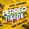 Perreo en Tik Tok 1 - Raka Taka Taka (feat. DJ Roman & Facu Vazquez) artwork