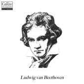 Classical Revision: Beethoven artwork