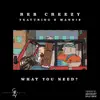 What You Need (feat. E-Mannie) - Single album lyrics, reviews, download