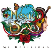 México Soy artwork