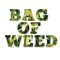Bag of Weed (feat. Slow G.) - Scanlous lyrics