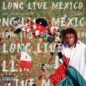 Long Live Mexico artwork