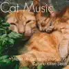 Music for Cats: Relax My Cat Music Therapy for Cat and Kitten Sleep album lyrics, reviews, download