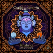 Krishna (feat. Ankit Sharda) [Katri Remix] artwork