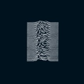 Joy Division - Day of the Lords (2019 Master)