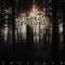 From Sorrow to Serenity - Engraved Disillusion lyrics