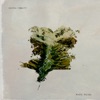 Dustin Tebbutt - White Water