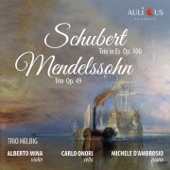 Schubert Piano Trio Op. 100 - Mendelssohn Piano Trio No. 1 Op. 49 artwork